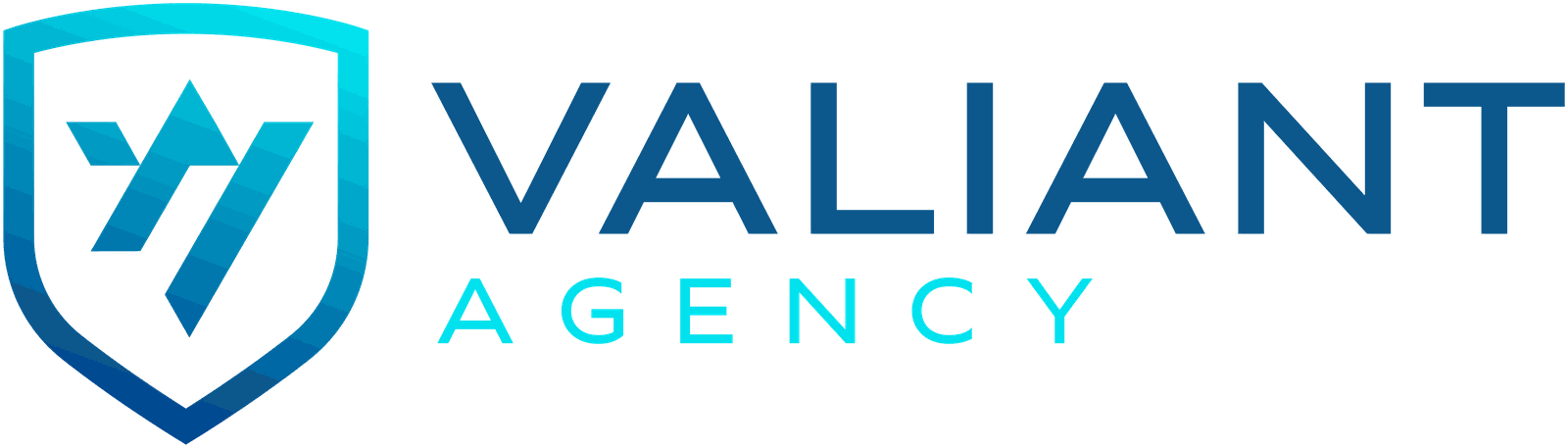 Valiant Agency — InsureMyFam.com home